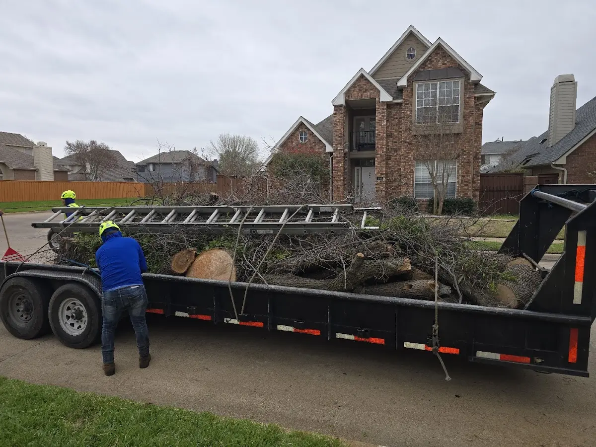 Expert Tree Fertilization with proper safety equipment in Orange Cove